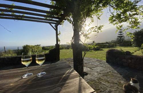 Quinta Perpetua, Casa Corvo - Foto 19