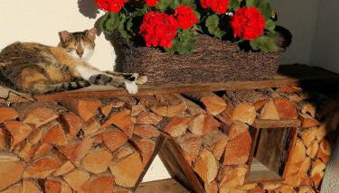 Ferienhof Kleber Bauernhof - mit KönigsCard - Foto 4