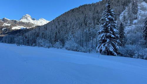 Grande Maison Du Coeur Champoluc Spa,Gym e Aree Relax - Foto 3