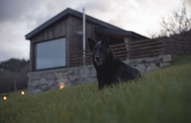 CABAÑAS O RECUNCHO DO SOR - Foto 51