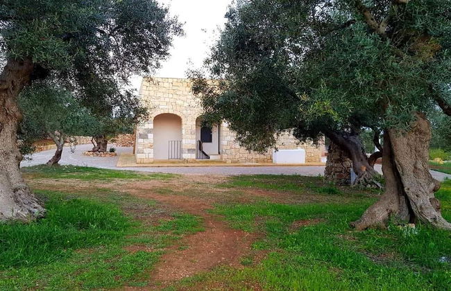 Volito House - Photo 32