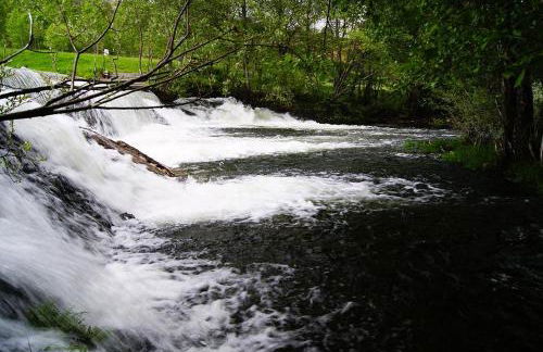 La Hoja de Roble - Photo 29