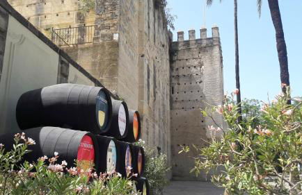 Sherryflat Caballeros - Parking - Foto 41