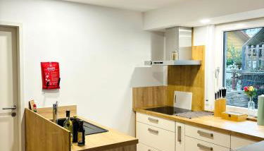 REMA Homes - Jacuzzi Terrasse 55' TV Küche Regendusche - Foto 4