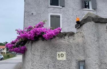 Magnolia Country House - Foto 12