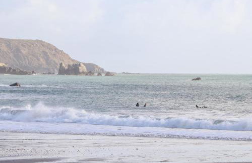 Wild Acres - Foto 38