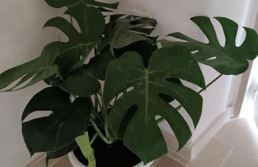 Perlage luxury room and wine - Foto 26