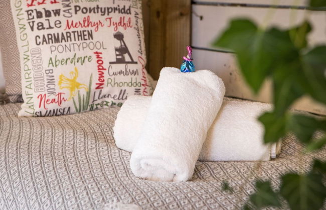 James Place @ Pontmorlais - Foto 70