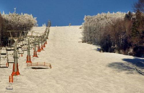 Wohnung Mitterdorf - Foto 39