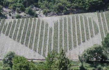 Ferienwohnung Hafenblick - Foto 30