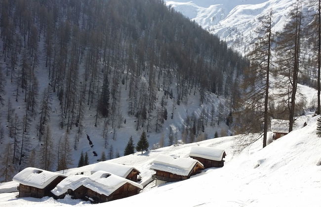 Ferienwohnungen am Berg - Almhütte Alfen - Foto 31