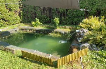 Modernes Rhombushaus im Naturparadies Sauerland - Foto 8