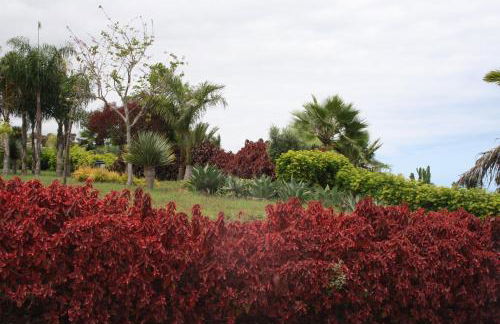 SISSI BOUTIQUE - THE TERRACE BETWEEN OCEAN AND TEIDE - Foto 49