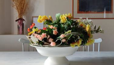 Agriturismo Terra dei Falchi - Foto 5