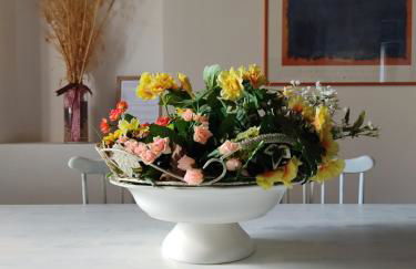 Agriturismo Terra dei Falchi - Foto 5