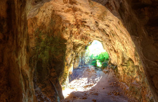 Tour in Manacor - Foto 1