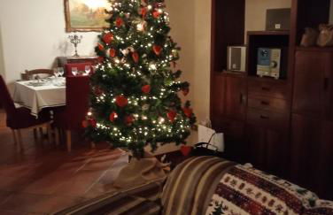 Alina Villa - Foto 25