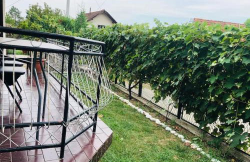 Apartma Laganini - Foto 12