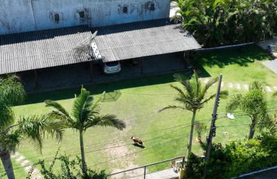 Caminho da Praia do Santinho - Foto 52