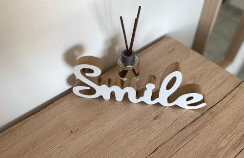 SunnyF2- EuroAiport-Basel-TrainStation-CityCenter - Photo 34