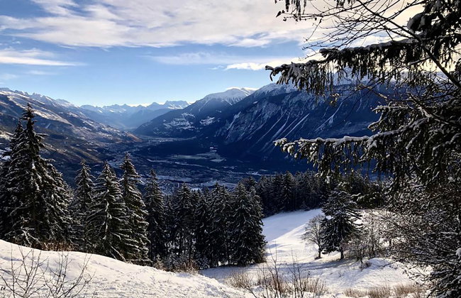 Lisière-Sud A 17 - Foto 36