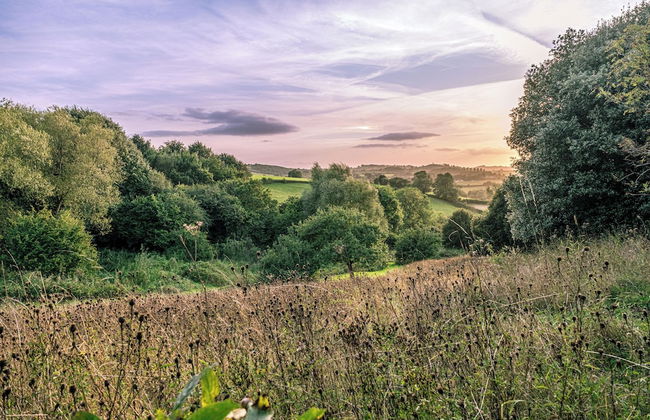 The Cider Barn - Gorgeous 2BD Near Bath - Foto 58