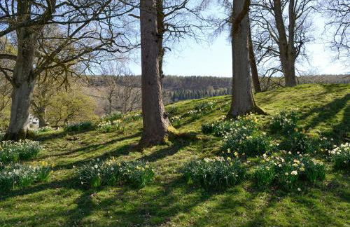 Crogen Wing - Photo 16