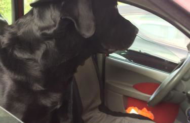 Appartamento Turistico Dal Morino - Foto 7