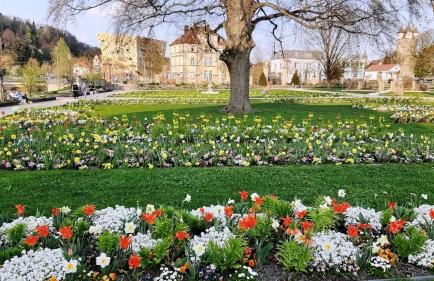Ferienwohnung Bauchert - Foto 20