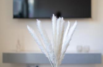 Designer Central Living WLAN&Smart-TV&Self Check-In - Foto 8