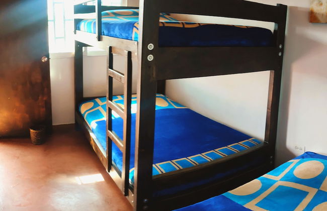 SAN PEDRO SALENTO APARTAHOTEL - Photo 5