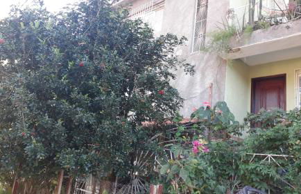 Pertinho da Mata - Foto 1