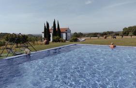 Herdade Terra rica - Photo 18