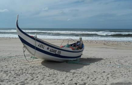 Forest Terrace Praia de Mira - Foto 78