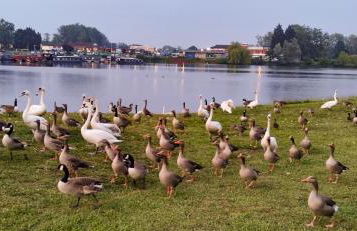 Billing Aquadrome ,3 bedrooms caravan - Photo 61