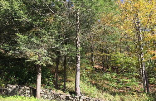 Catskill Cabin, Cool Apartment, 2nd Floor - Photo 28