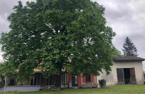 Le Marronnier - Foto 9