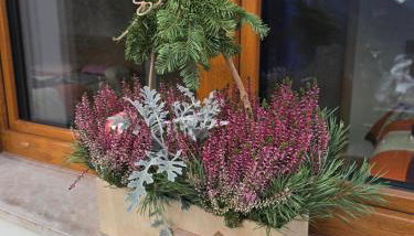 Al Belvedere sul Piave - Foto 2