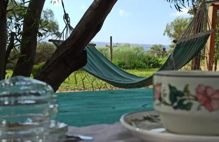 El Abejaruco - Foto 12