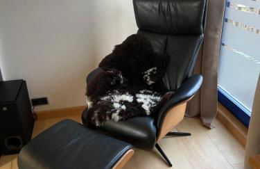 RhönLoft - Ferienapartment - Foto 56