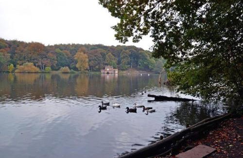 The Dotterry - Foto 19