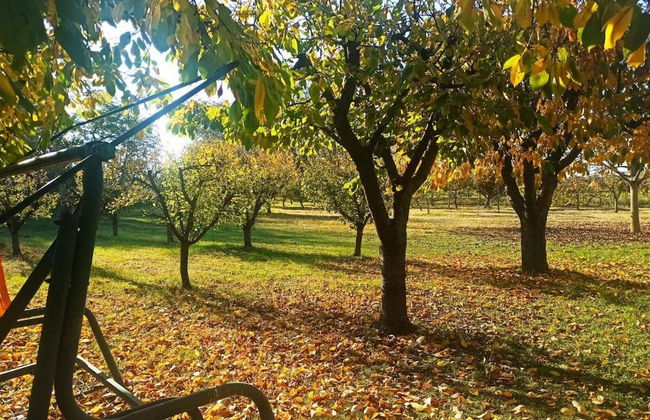 Holiday Home Zmaj - Foto 11