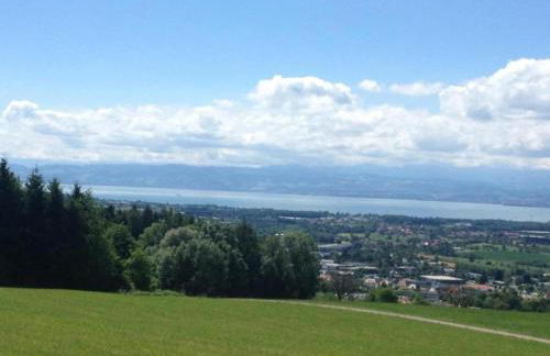 Ferienhaus in Markdorf mit Pool - Foto 30