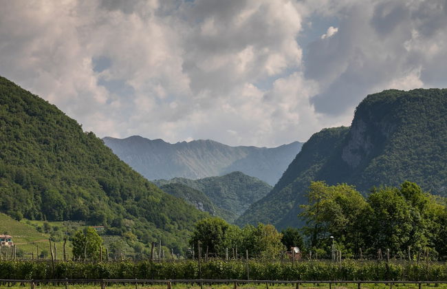 Agriturismo I Comelli - Foto 72