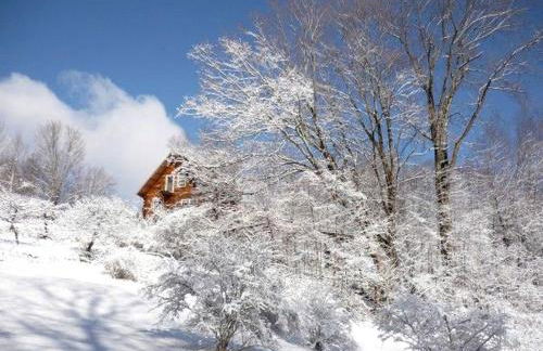 Breathtaking Year-Round Views from Luxury Cabin on New York-Vermont Border - Foto 14
