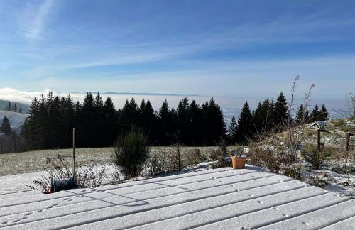 Blackforest Homestay Apartments - Foto 38