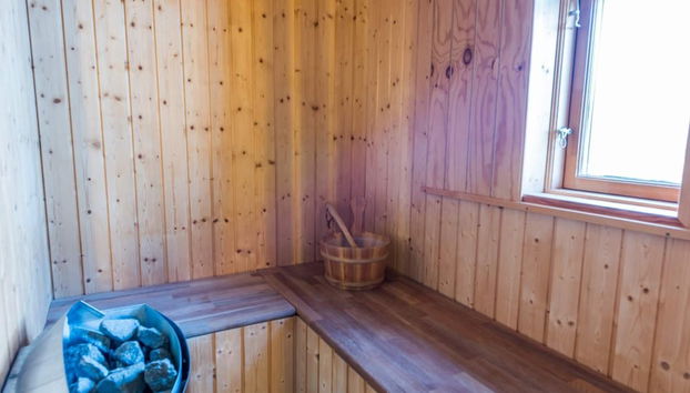 5 Person Holiday Home in Hvide Sande - Foto 2, Sauna