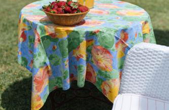 La casita de Hato Pinos, un rincón en Doñana - Foto 4