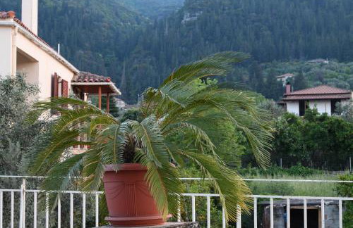 Art Flowers and Culture - Foto 7