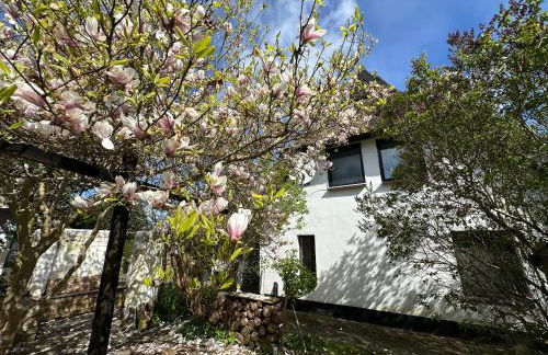 Naturwerk Ostsee - Foto 38